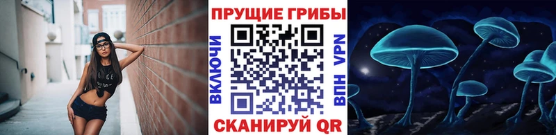 Галлюциногенные грибы мухоморы  купить наркоту  Лахденпохья 
